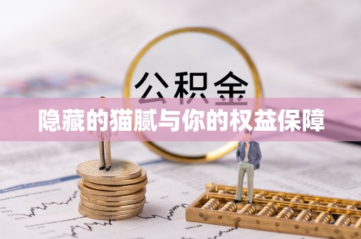 江北隐藏的猫腻与你的权益保障